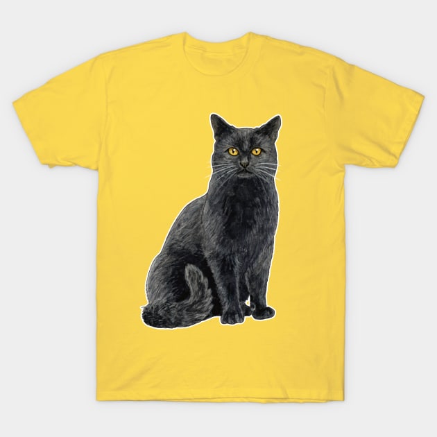 Black cat with golden eyes T-Shirt by Savousepate